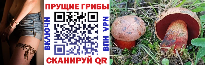 наркота  Циолковский  Галлюциногенные грибы мицелий 